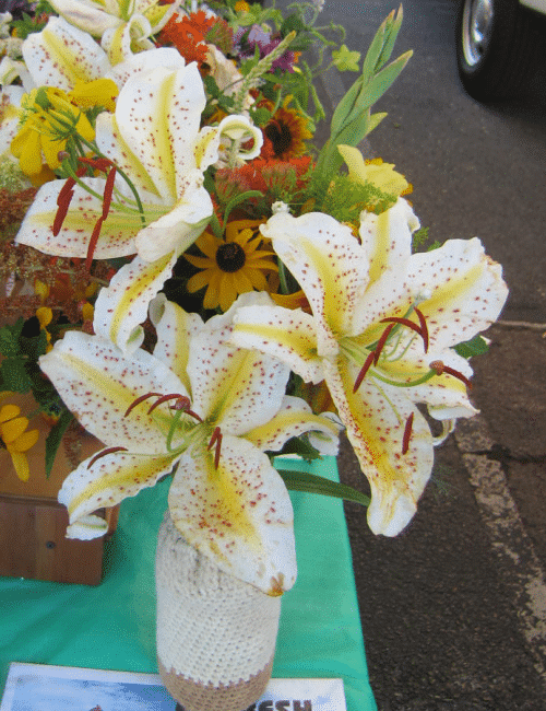 sample bouquet 14