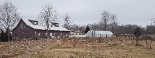 barn and flower beds in winter