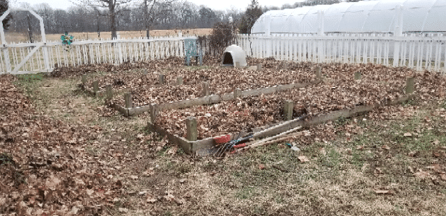 raised beds in winter