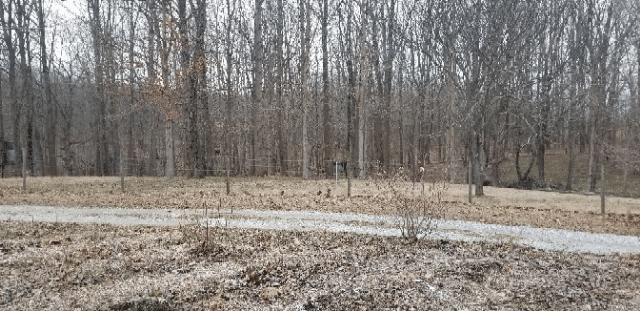 side yard in winter